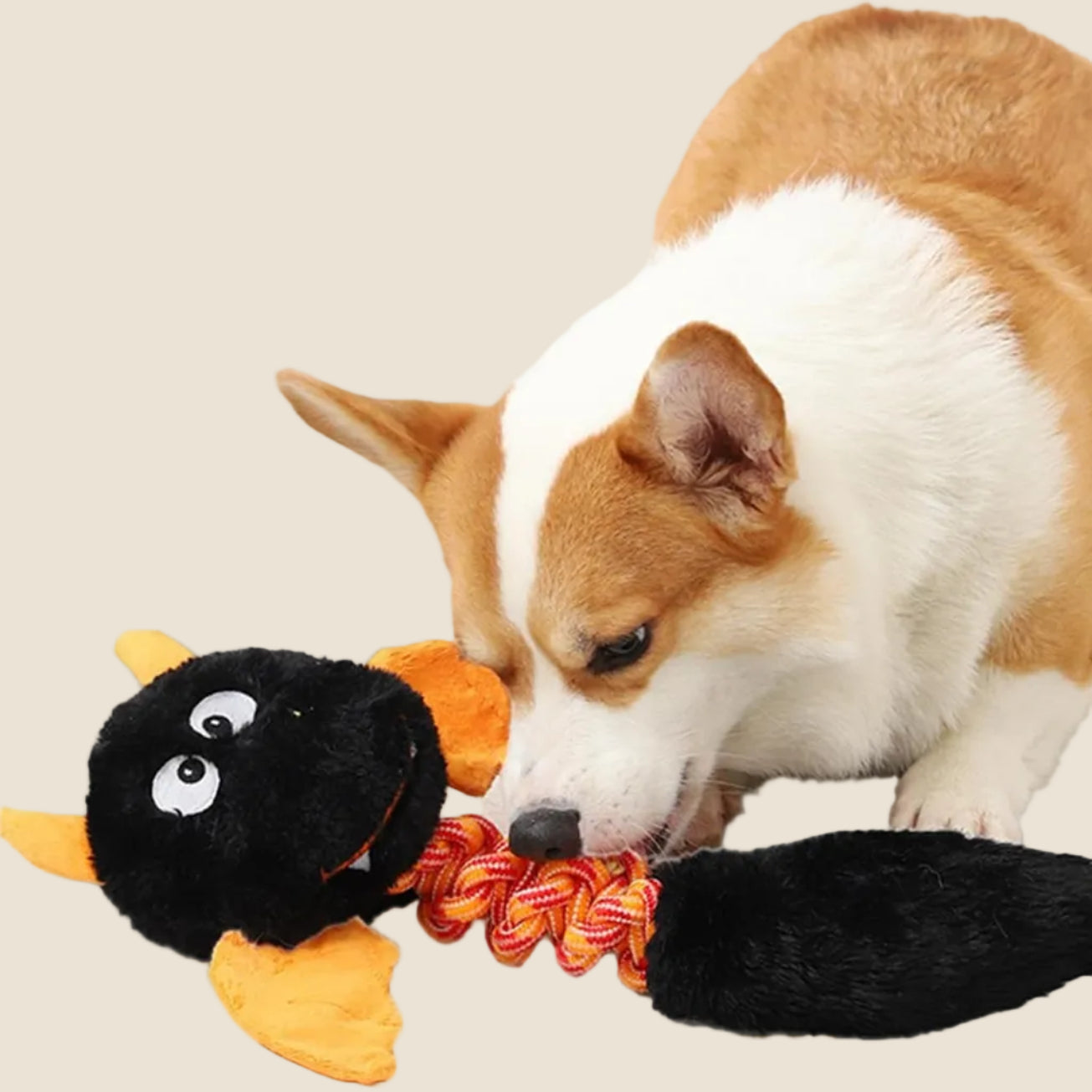 Plush Dog Toys Squeaky Dog Toys Cat Toys Pet Toys for Large Small Dogs